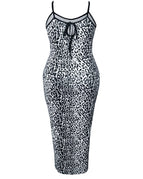 Leopard / 1XL