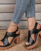 Black / 36