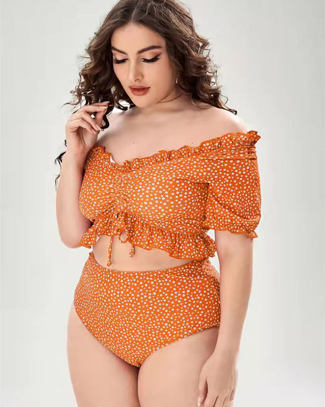 Women's Plus Size Split Bikini